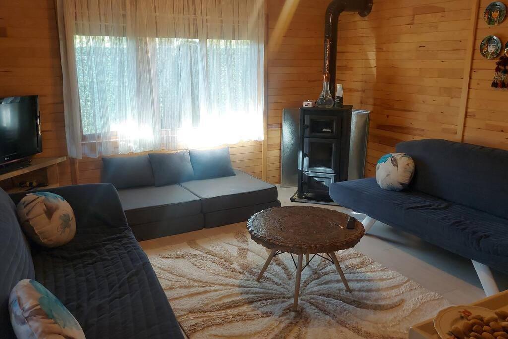Silenos Bungalow Stone House Konya Kültér fotó